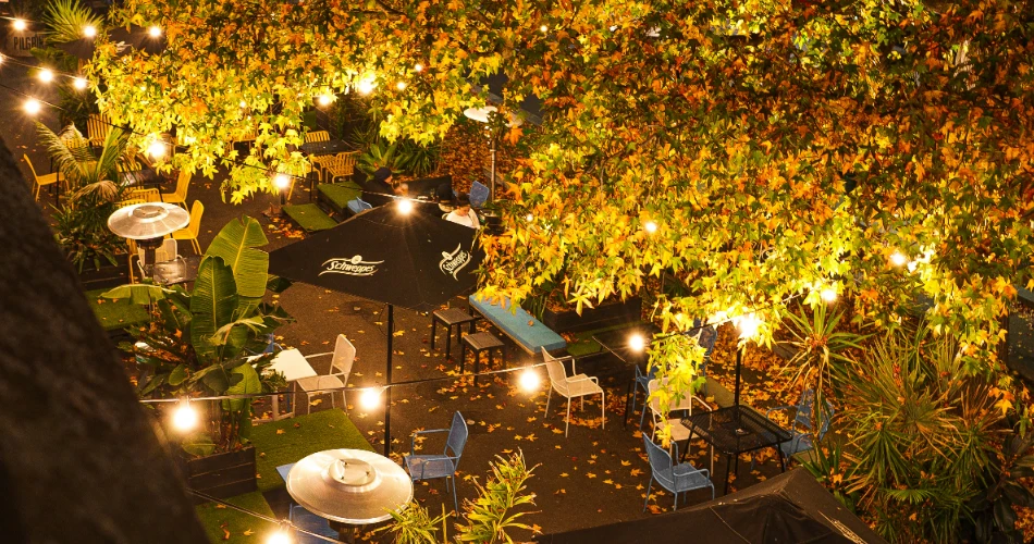 10 Best Pubs in Vienna