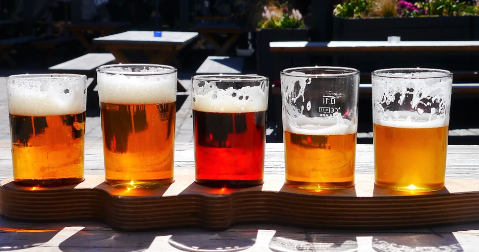 10 Best Pubs in Vienna